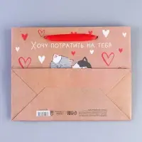 Пакет подарочный крафтовый, упаковка, «Потрачу девять жизней», MS 18 х 23 х 8 см