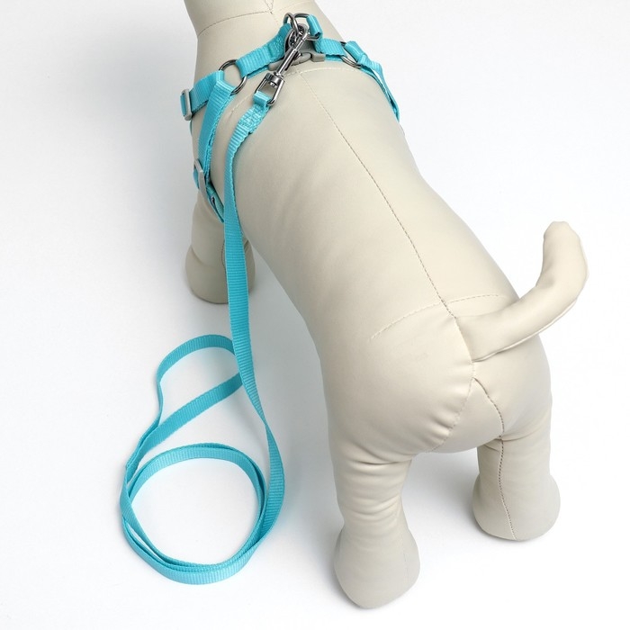 Комплект с мягкой шлейкой, быстросъемный, L, поводок 140 см, ОШ 49-56 см, ОГ 56-68 см, бирюзовый Комплект с мягкой шлейкой, быстросъемный, L, поводок 140 см, ОШ 49-56 см, ОГ 56-68 см, бирюзовый
