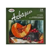 Акварель художественная в кюветах &laquo;Гамма. Студия&raquo;, 24 цвета &times; 2.5 мл