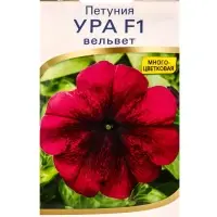 Семена цветов Петуния Ура F1 вельвет (драже в пробирке) Спецсерия Syngenta, Ц/П,7 шт. Семена цветов Петуния Ура F1 вельвет (драже в пробирке) Спецсерия Syngenta, Ц/П,7 шт.