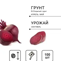 Семена Свекла &laquo;Бреско&raquo;, F1, 100 шт., &laquo;Дом семян&raquo;