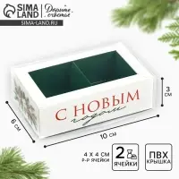Коробка под 2 конфеты с ячейками «Новогодняя ботаника», 10 х 6 х 3 см