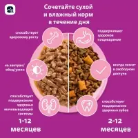 Сухой корм Whiskas для котят, индейка/морковь/молоко, подушечки, 350 г