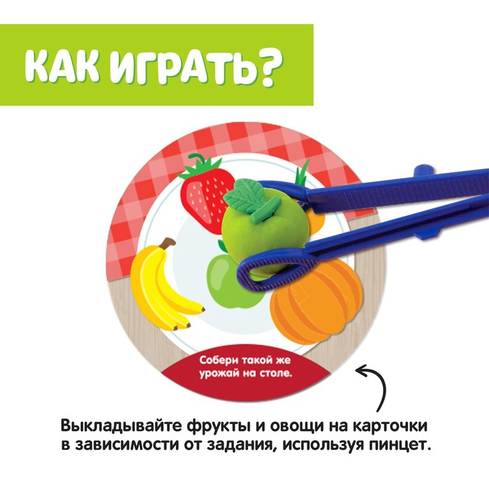 Набор для сортировки «Вкусная тарелка», по методике Монтессори, 20 заданий, 3+ Набор для сортировки «Вкусная тарелка», по методике Монтессори, 20 заданий, 3+