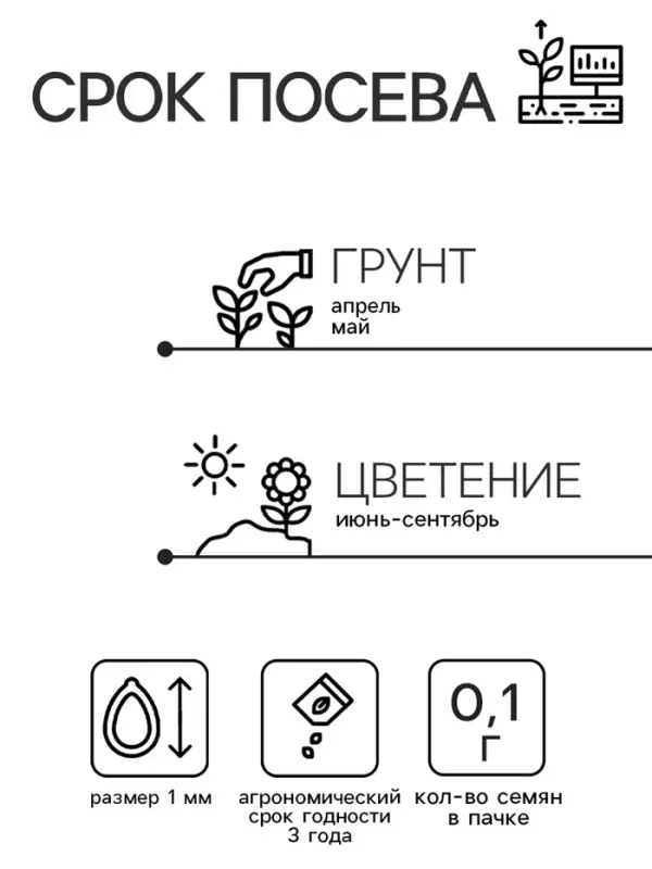 Семена цветов Иберис  Семена цветов Иберис "Конфетти", 0,1 г