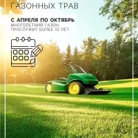 Газонная травосмесь &laquo;Красотень&raquo;, &laquo;Гном&raquo; 1 кг