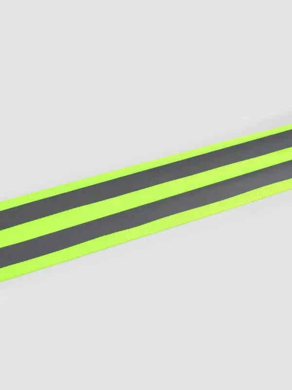 Светоотражающая лента-стропа, 40 мм, 5 &plusmn; 1 м, цвет салатовый