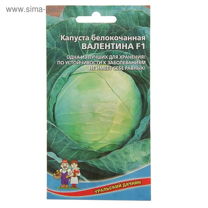 Семена Капуста белокочанная Семена Капуста белокочанная "Валентина F1" поздний,кочан 3,5-5 кг,очень плотный 0,1 г