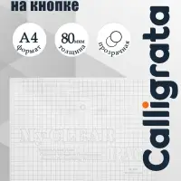 Папка-конверт на кнопке, А4, 80 мкм, &laquo;Клетка&raquo;, прозрачная