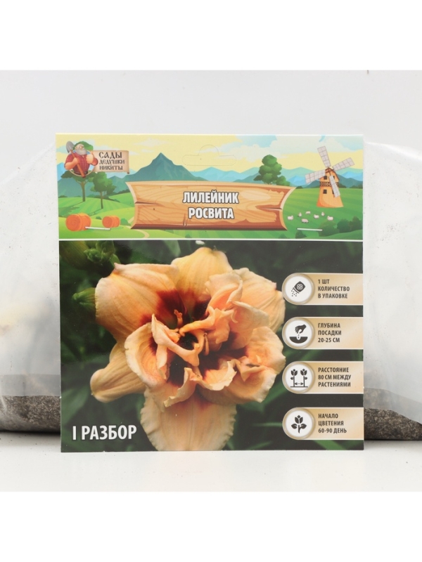 Лилейник Roswitha, многолетник, корневище в пакете с торфогрунтом, р-р I, 1 шт.
