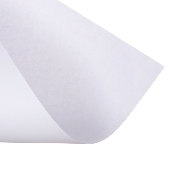 Набор 3л ватман чертежный А0 (840х1189) 160г/м2 ВА0 Набор 3л ватман чертежный А0 (840х1189) 160г/м2 ВА0