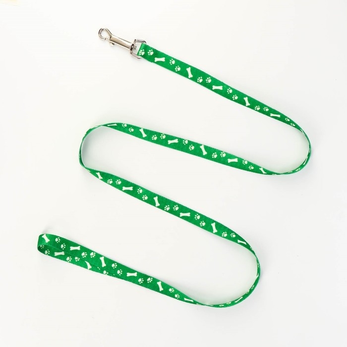 Комплект капроновый Комплект капроновый "Косточки и лапки", 1,5 см, шлейка 30-44 см, поводок 120 см, зелёный