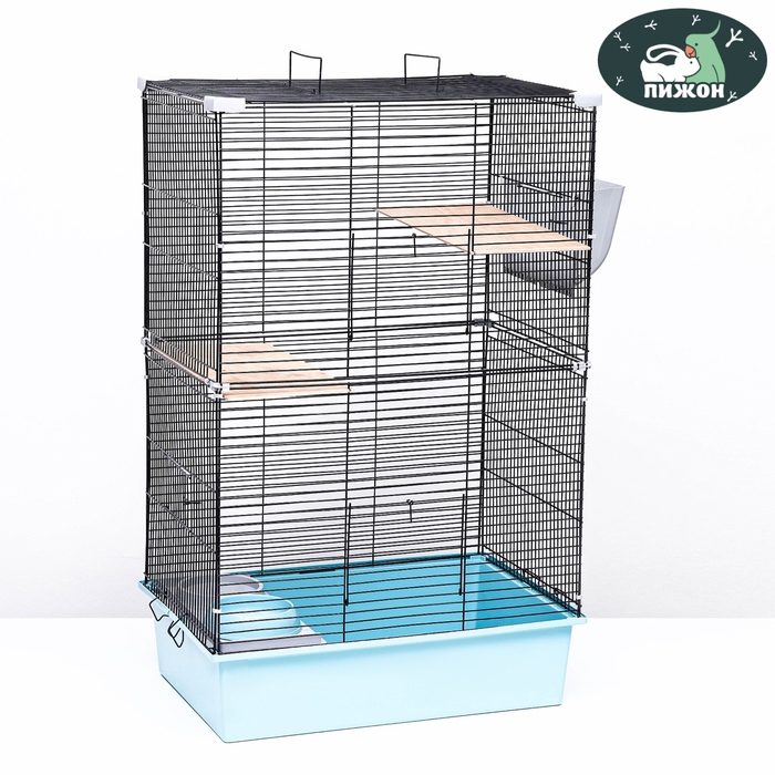 Клетка для шиншиллы Клетка для шиншиллы "Пижон" №10, разборная, 58 х 40 х 88, бирюзовая