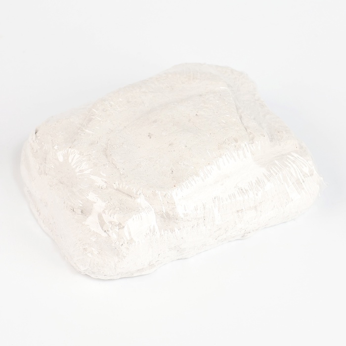 Набор для раскопок «В поисках змейки», с инструментами