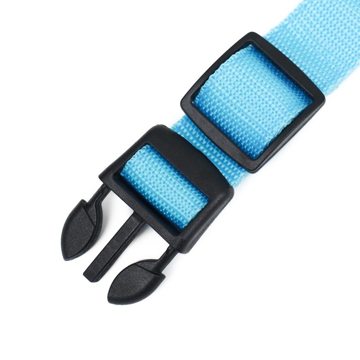 Ошейник с подсветкой Двойная полоса размер M, ОШ 40-48 х 2,5 см, 3 режима свечения голубой 977224 Ошейник с подсветкой Двойная полоса размер M, ОШ 40-48 х 2,5 см, 3 режима свечения голубой 977224