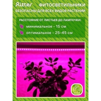 Фитосветильник светодиодный Ritter, T5, 10Вт, 572 мм, IP20, на прищепке, красно-синий спектр