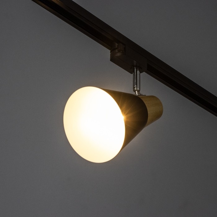 Светильник трековый Светильник трековый "Паулина" Е27 40Вт черный 16х12х18см