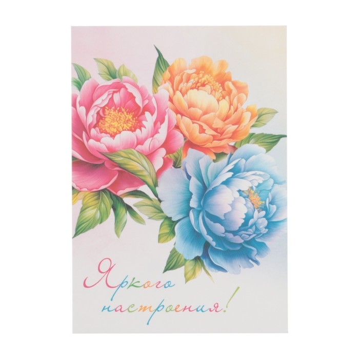 Набор мини-открыток  Набор мини-открыток "Цветы" 7,6 х 10,6 см