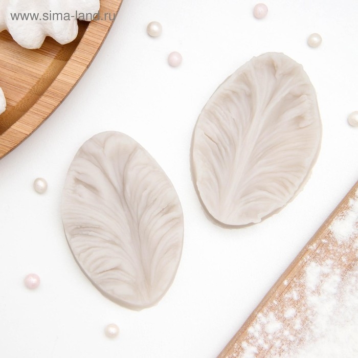 Молд «Лист тропических растений», силикон, 2 шт, 6,5×4×2,3 см, цвет МИКС Молд «Лист тропических растений», силикон, 2 шт, 6,5×4×2,3 см, цвет МИКС