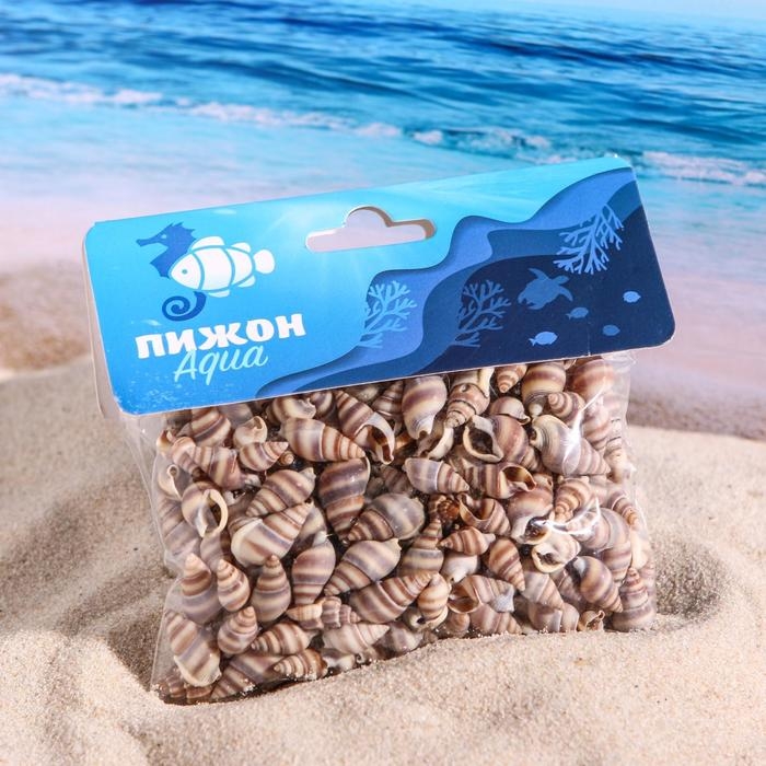 Набор ракушек, 1 - 2 см, 100 г Набор ракушек, 1 - 2 см, 100 г