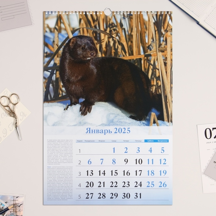 Календарь перекидной на ригеле А3 Календарь перекидной на ригеле А3 "Календарь охотника" 2025, 32 х 48 см