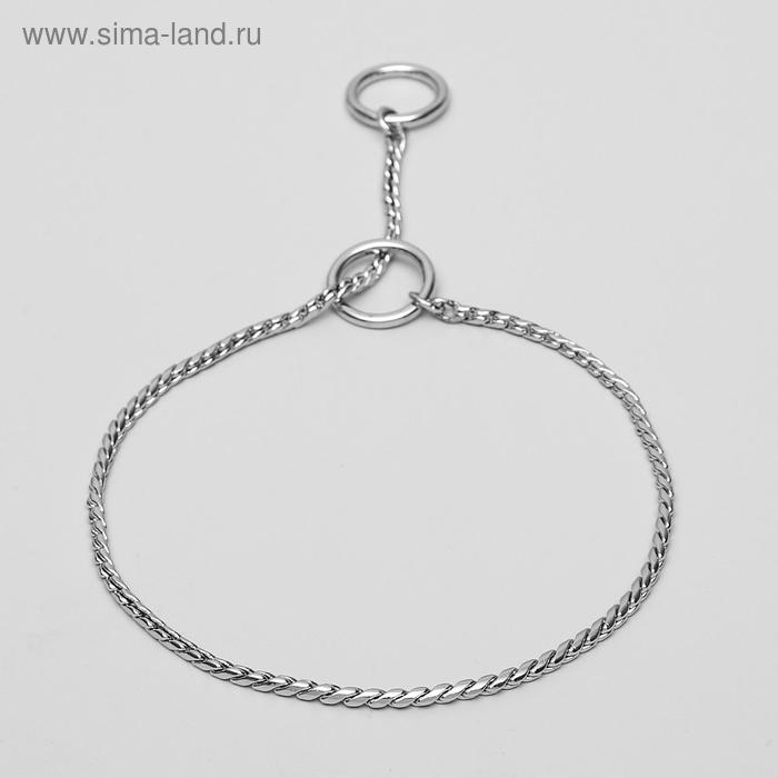 Ошейник - удавка Ошейник - удавка "Кобра", 50 см, толщина цепочки 4 мм, серебристый