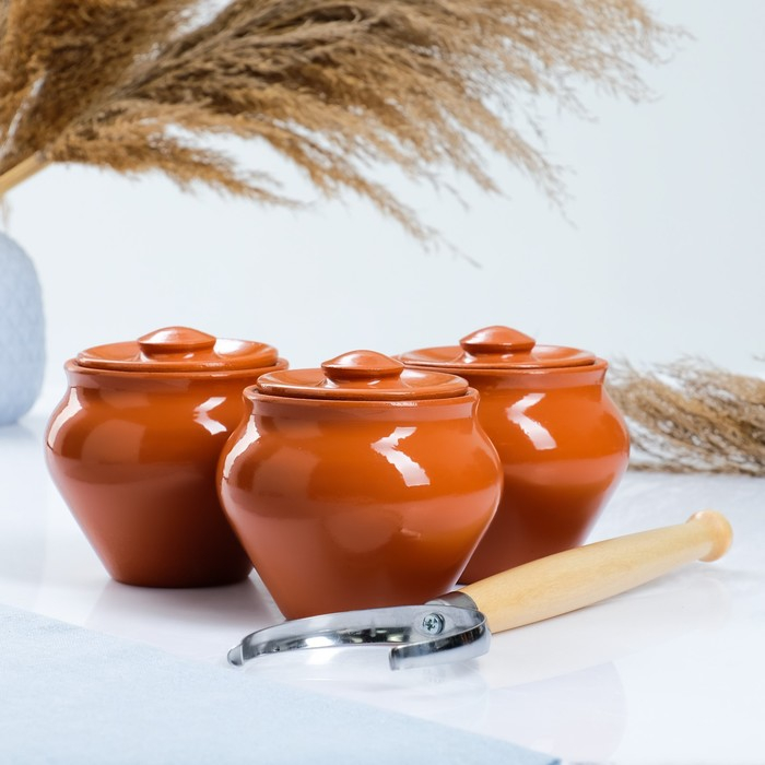 Набор  Набор "Вятская керамика Трио" 0,5лх3шт + ухват, терракота