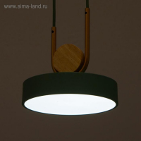 Светильник BayerLux 35427/1 LED 24Вт 3000-6000К зеленый 18х18х20 см