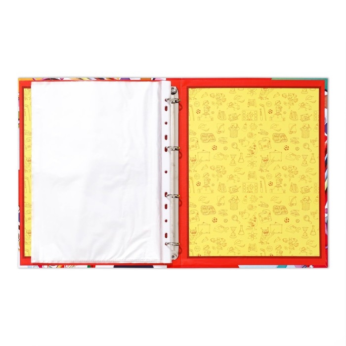 Папка школьная на кольцах «Портфолио школьника», 10 листов-разделителей, 24,5 х 32 см.