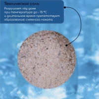 Реагент противогололёдный S (соль техническая), 10 кг, работает при —15 °C, в пакете, Greengo