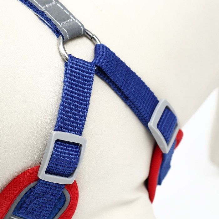 Комплект Sport+, S, поводок 150 x 1,5 см, ОШ 39-41 см, ОГ 44-48 см, вес животного 7-13 кг, синий 96 Комплект Sport+, S, поводок 150 x 1,5 см, ОШ 39-41 см, ОГ 44-48 см, вес животного 7-13 кг, синий 96