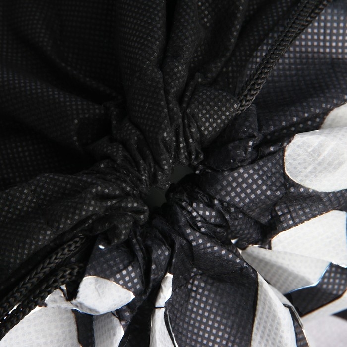 Мешок для обуви «Скорость» с прозрачным окном 30 х 40 см Мешок для обуви «Скорость» с прозрачным окном 30 х 40 см