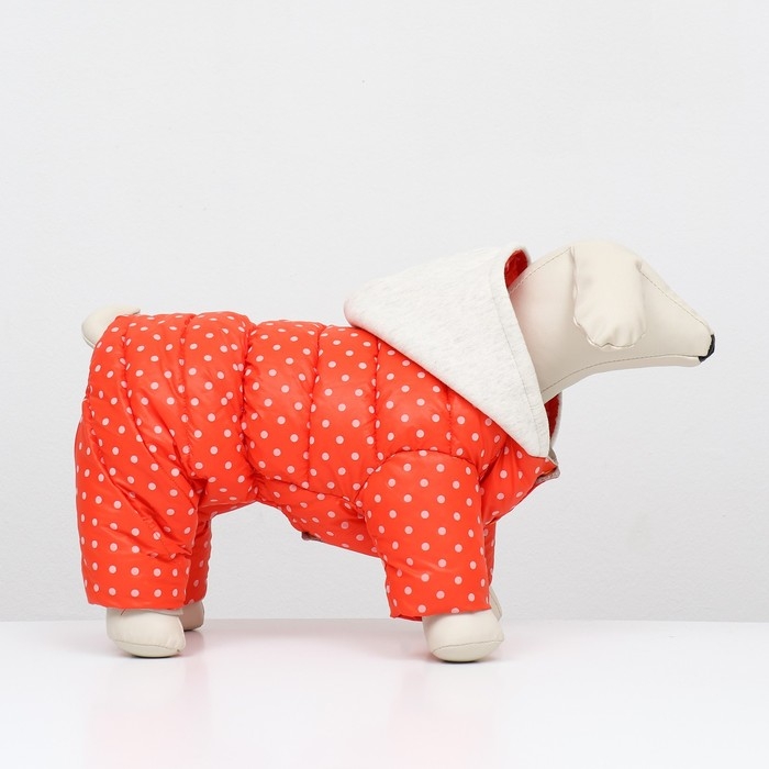 Комбинезон  Комбинезон "Для прогулки", размер 14 (ДС 28 см, ОГ 42 см, ОШ 31 см), оранжевый