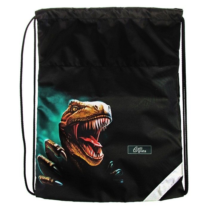 Рюкзак каркасный школьный, 39 х 28 х 18 см, + мешок для обуви, Calligrata П Рюкзак каркасный школьный, 39 х 28 х 18 см, + мешок для обуви, Calligrata П "Крутой дино", зелёный