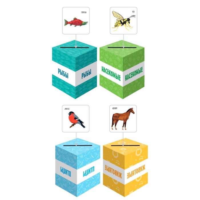Развивающая игра «Умный сортёр. Животные, птицы, рыбы, насекомые» Развивающая игра «Умный сортёр. Животные, птицы, рыбы, насекомые»