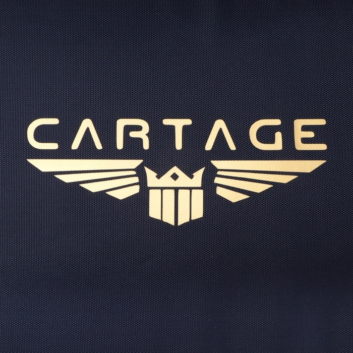 Термосумка Cartage Т-17, синяя, 18 л, 35х21х24 см Термосумка Cartage Т-17, синяя, 18 л, 35х21х24 см