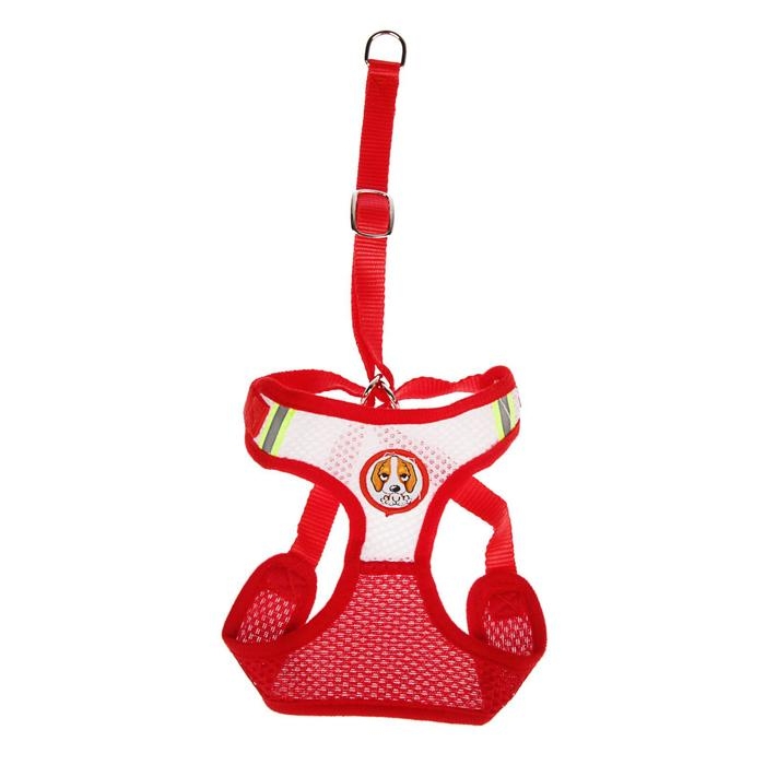 Шлейка регулируемая дышащая, светоотражающая, размер S (ОШ 14-30; ОГ 20-40 см), красная Шлейка регулируемая дышащая, светоотражающая, размер S (ОШ 14-30; ОГ 20-40 см), красная