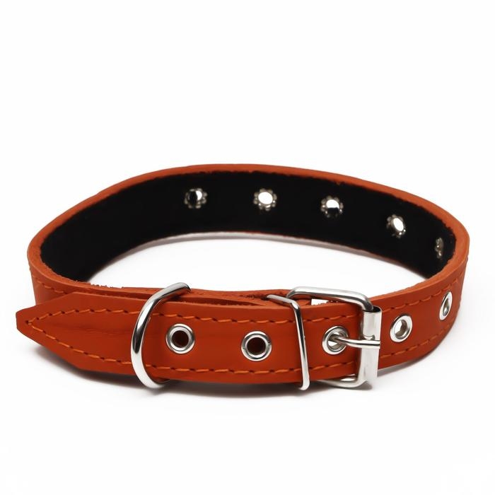 Ошейник кожаный на синтепоне, безразмерный, 54 х 2,5 см, ОШ 19-47 см, оранжевый Ошейник кожаный на синтепоне, безразмерный, 54 х 2,5 см, ОШ 19-47 см, оранжевый