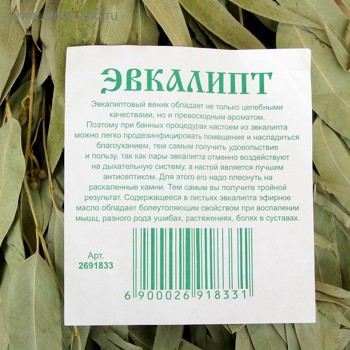 Веник для бани 53 (+-2) см эвкалиптовый Веник для бани 53 (+-2) см эвкалиптовый