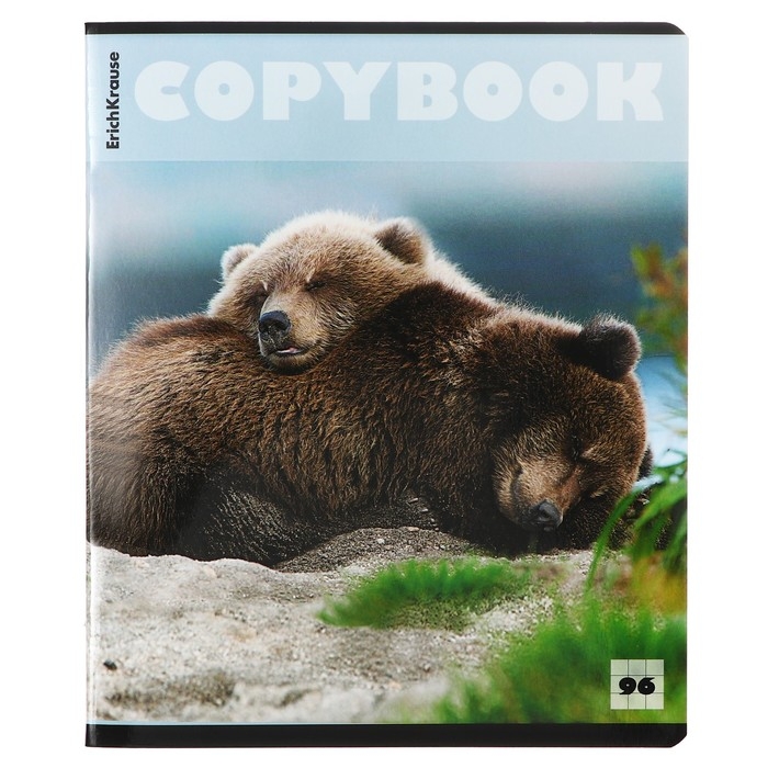 Тетрадь 96 листов в клетку, ErichKrause Тетрадь 96 листов в клетку, ErichKrause "Медведи", обложка мелованный картон, глянцевая ламинация, блок офсет 100% белизна, МИКС