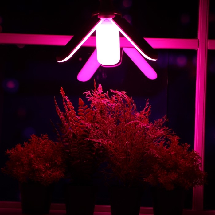 Фитолампа светодиодная, E27, 24 Вт, IP 20, 220 В, трехлепестковая, складная, мультиспектральная 7391 Фитолампа светодиодная, E27, 24 Вт, IP 20, 220 В, трехлепестковая, складная, мультиспектральная 7391