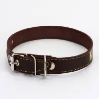 Ошейник &laquo;Красотка&raquo;, 60&times;2.5 см, однослойный, тиснение фольгой, кожа, цвет МИКС