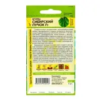 Семена Огурец "Сибирский Пучок", F1, 5 шт