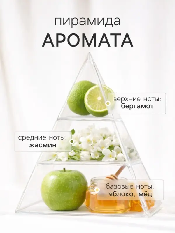 Диффузор ароматический с палочками XO The Balance, 200 мл