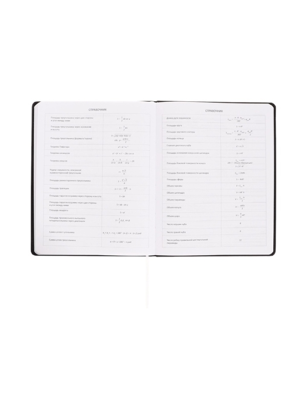 Дневник школьный 1-11 класс, deVENTE.Sport, искусственная кожа, шелкография