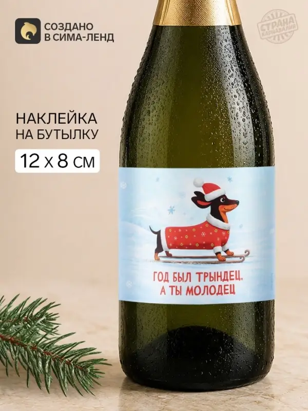 Наклейка на бутылку «Год был трындец, а ты молодец», 12×8 Наклейка на бутылку «Год был трындец, а ты молодец», 12×8