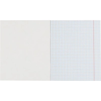 Бизнес-тетрадь Принты А5 48л, клетка, обл. мел. картон, скрепка,птицы