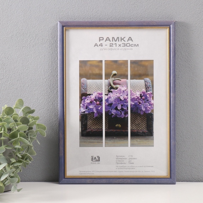 Фоторамка сосна с15 21х30 см, 056 фиолетовый (пластиковый экран) Фоторамка сосна с15 21х30 см, 056 фиолетовый (пластиковый экран)