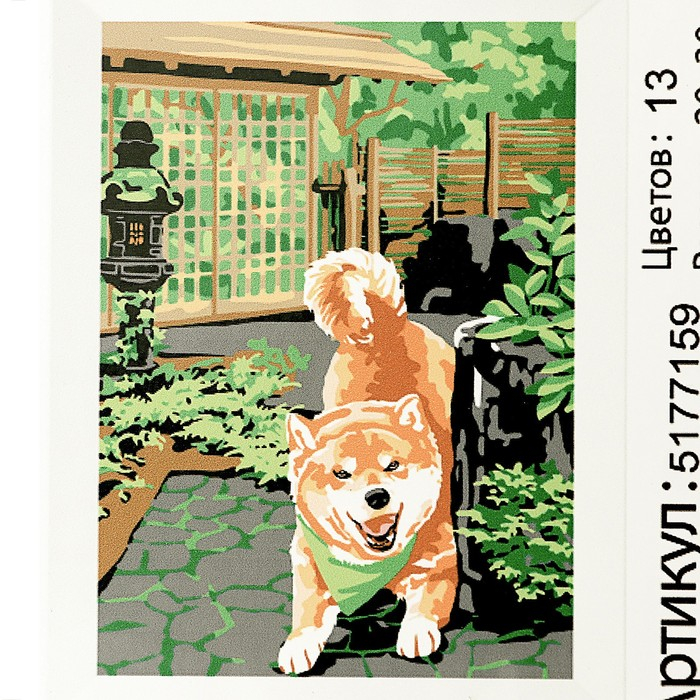 Картина по номерам на холсте с подрамником «Сиба-ину», 30х20 см