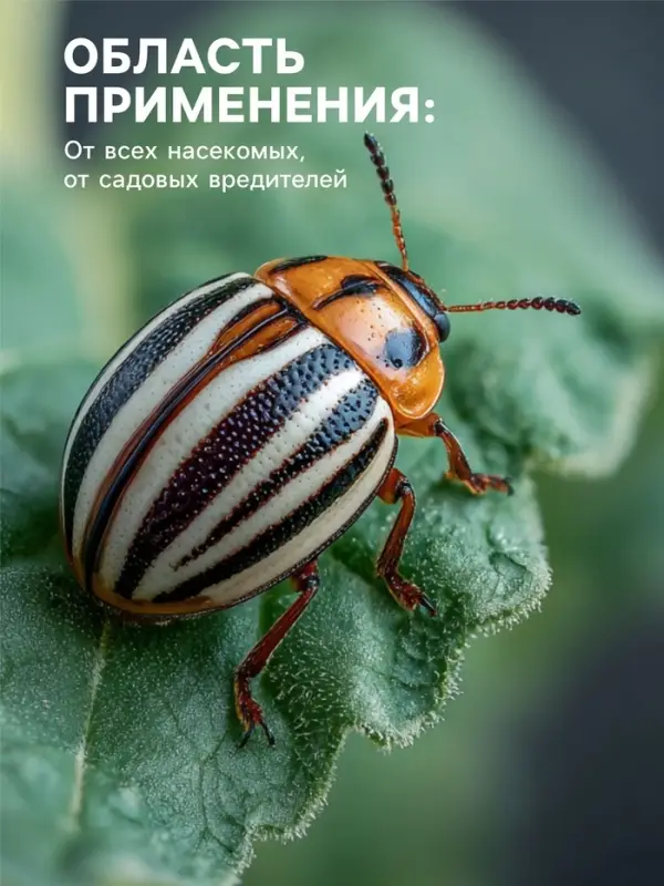 Средство от насекомых и вредителей &laquo;Метаризин&raquo;, 900 г